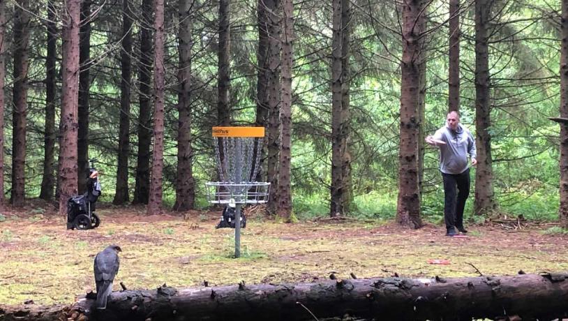 Disc Golf in het bos