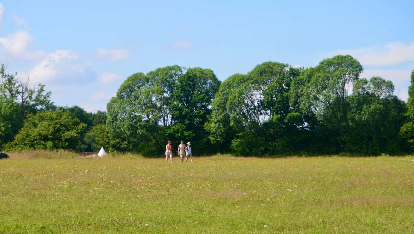 Grøn mørk i Sønderjylland