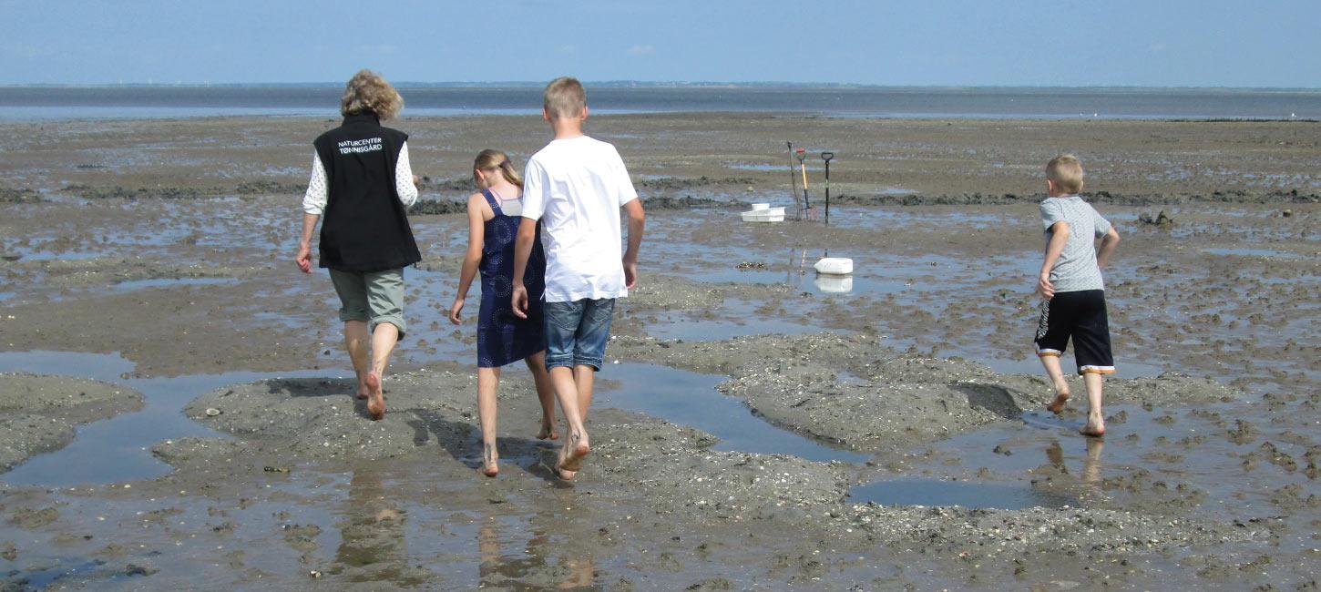 Natuurcentrum Tønnisgaard