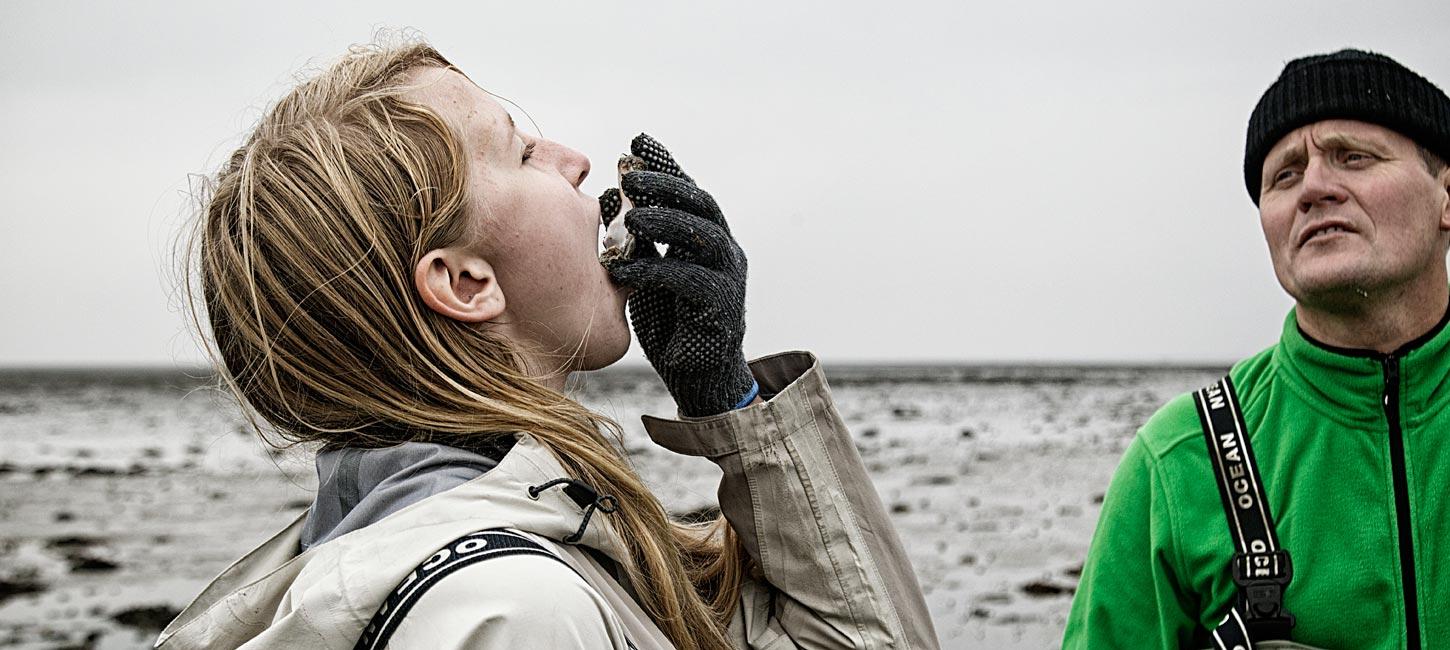 Pige i regnjakke spiser frisk østers i Vadehavet