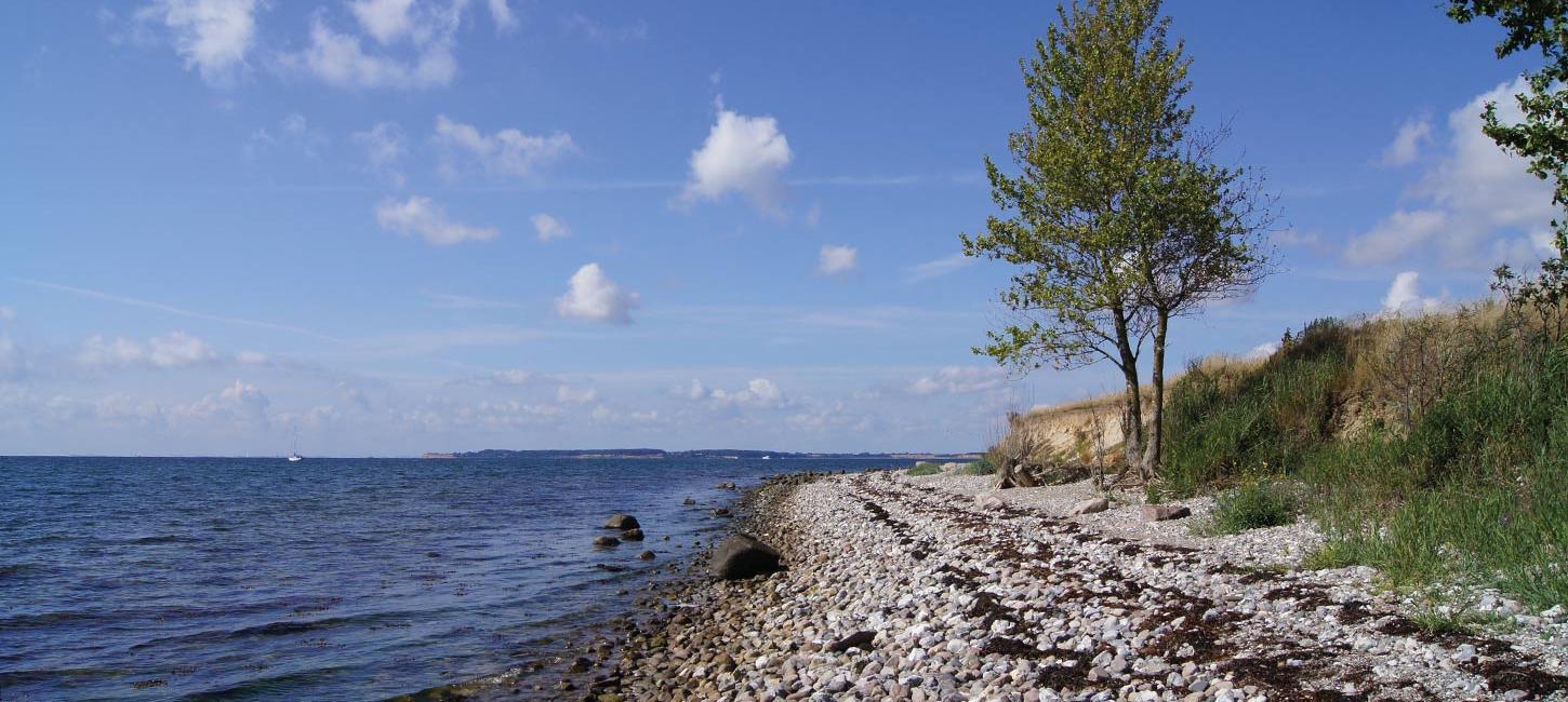 Aarø