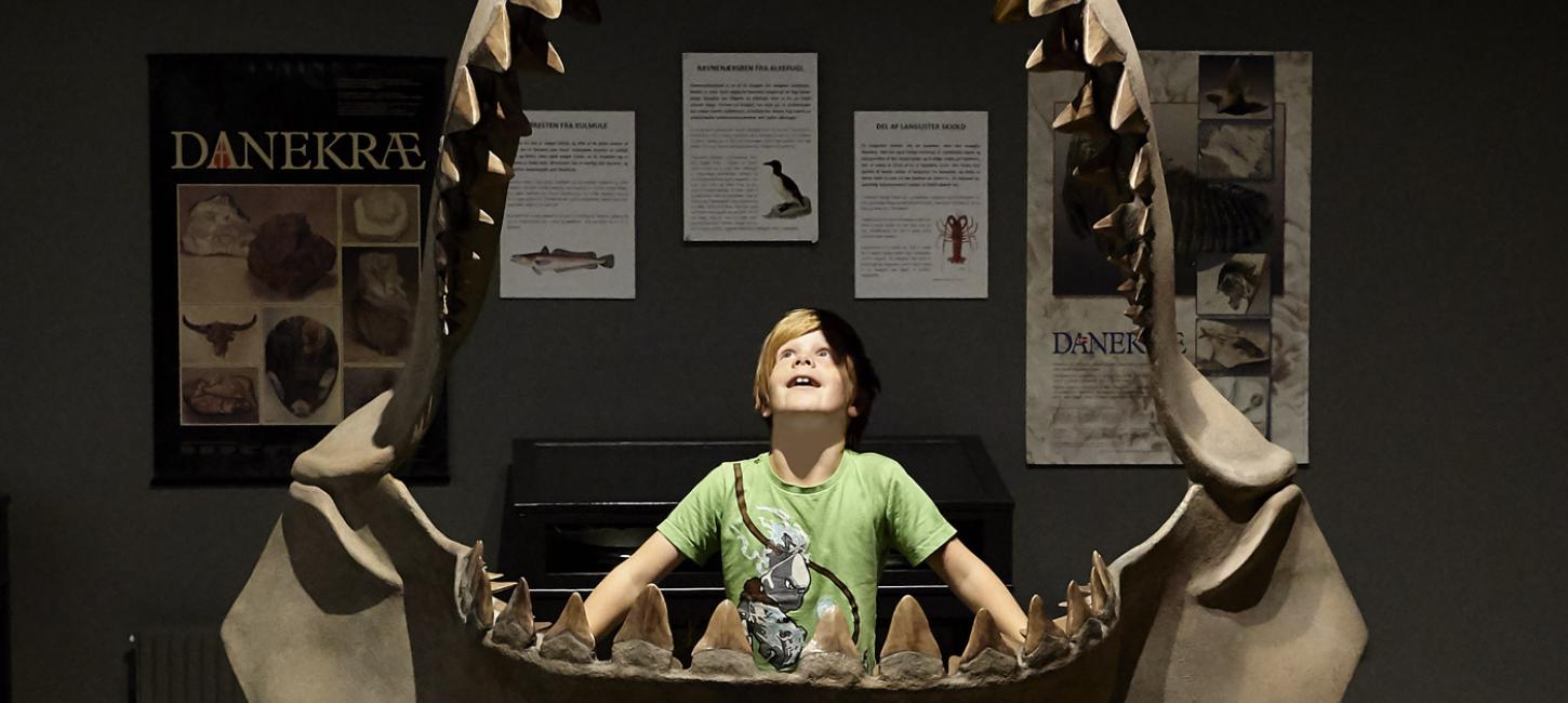 Enthousiast jongetje in het museum bij Gram Lergrav