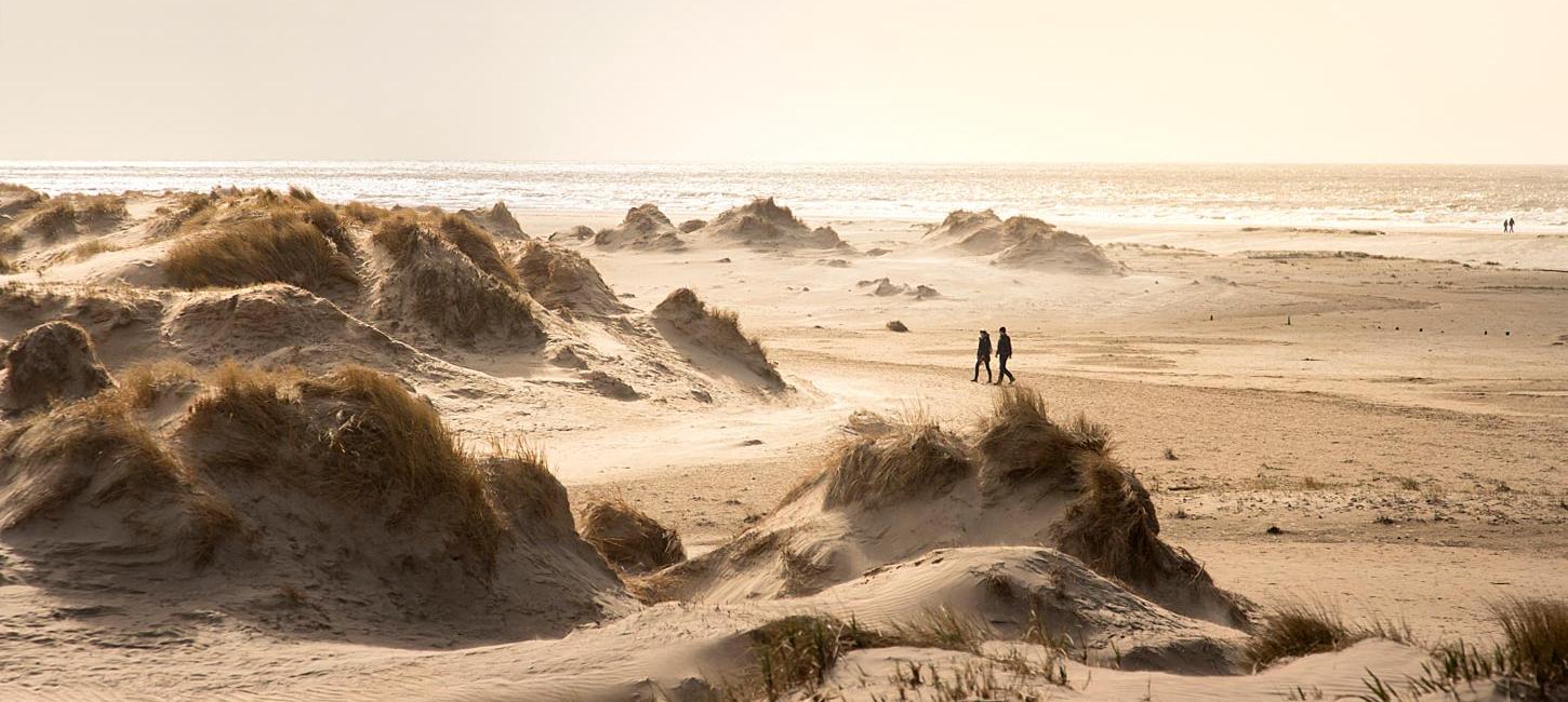 De duinen op Rømø