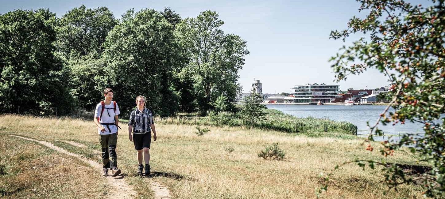 Vandrere på Camino Haderslev Næs