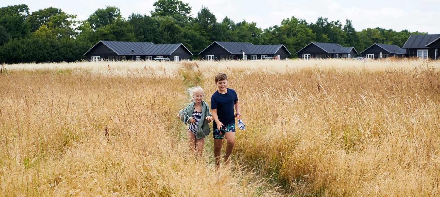 Kinderen in een korenveld voor vakantiehuizen