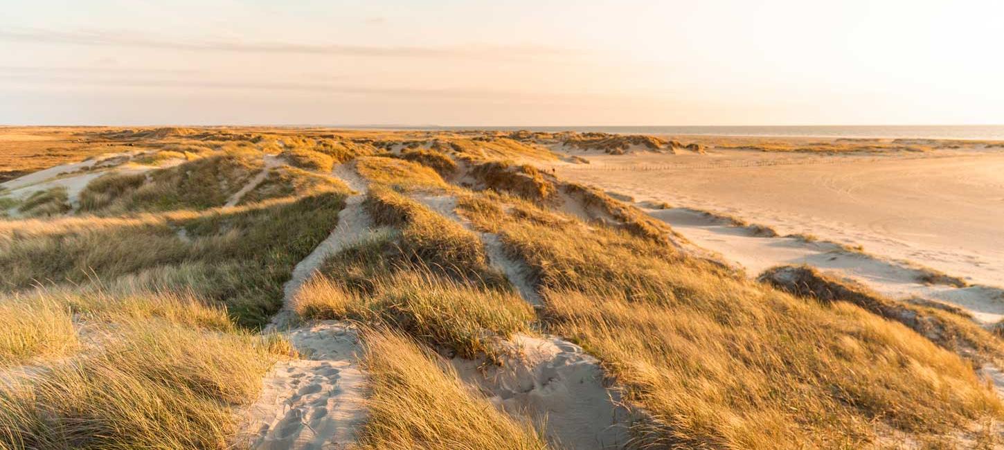 De duinen op Rømø