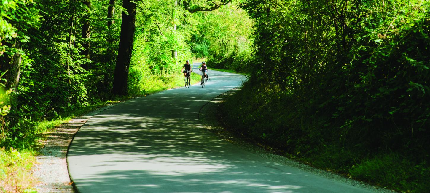 Par der cykler ved Jørgensgård Skov