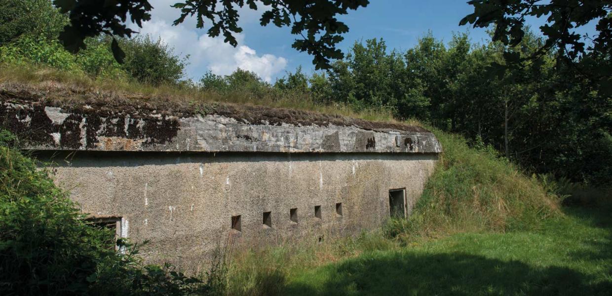 Sicherungsstellung Nord – bewaard gebleven batterij, Andholm