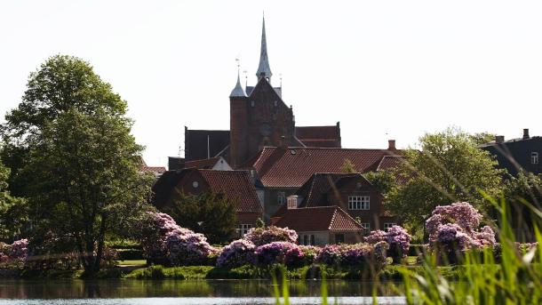 Haderslev Kathedraal