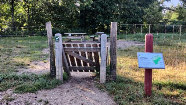 Der Hundewald in Lerskov