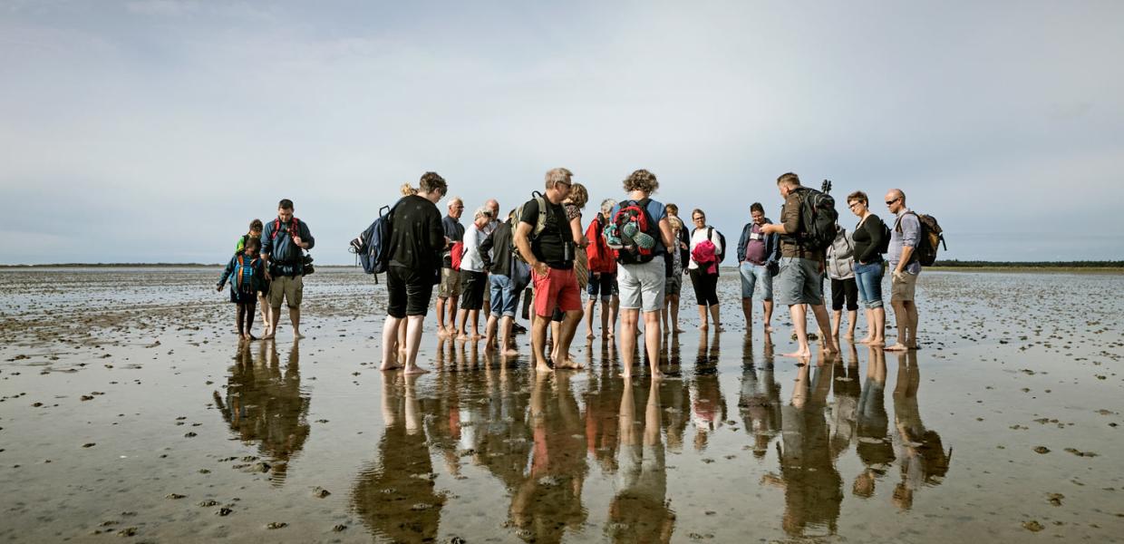 Waddenzee