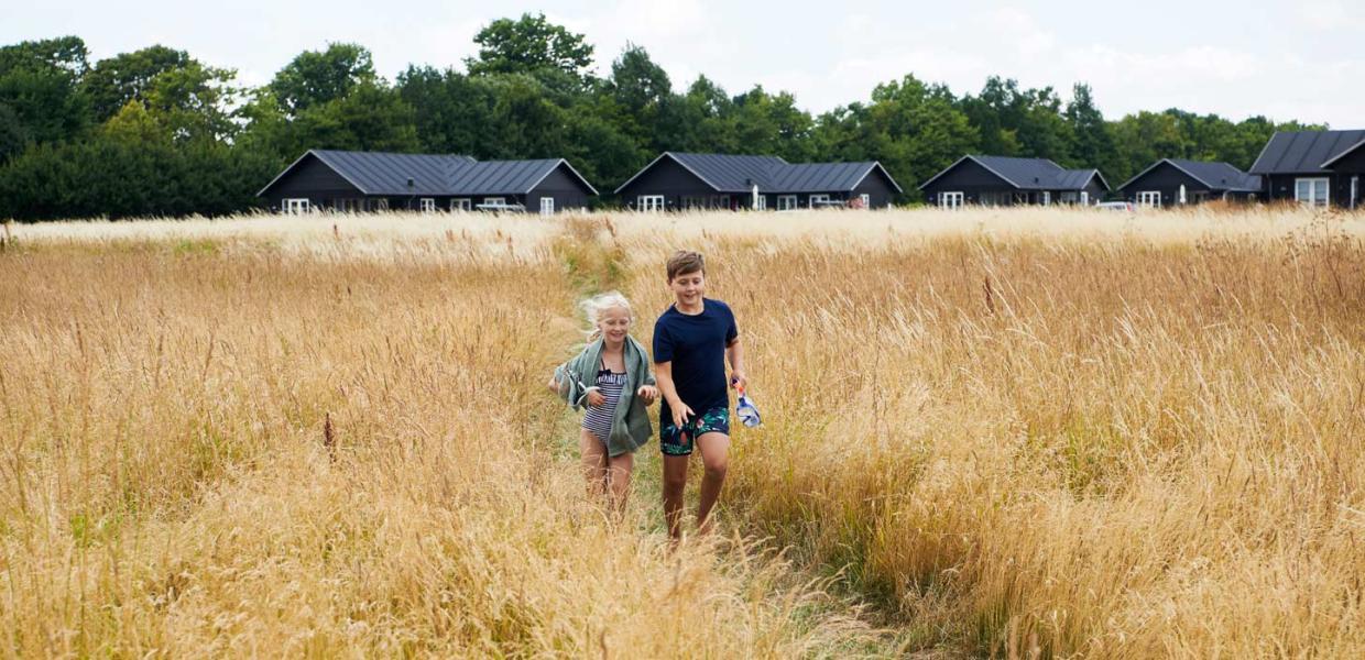 Kinderen in een korenveld voor vakantiehuizen