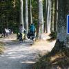 Fietsen op de Oostzee-fietsroute bij Sønderskov