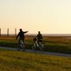 Par på cykel i Tøndermarsken