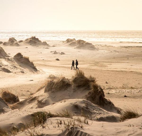 De duinen op Rømø