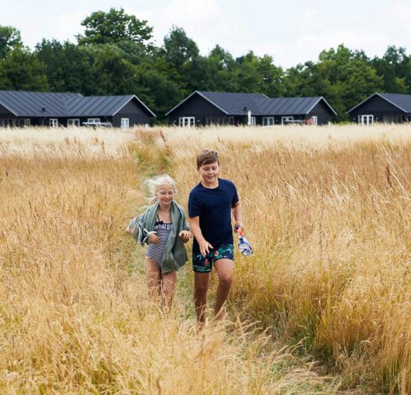 Kinderen in een korenveld voor vakantiehuizen