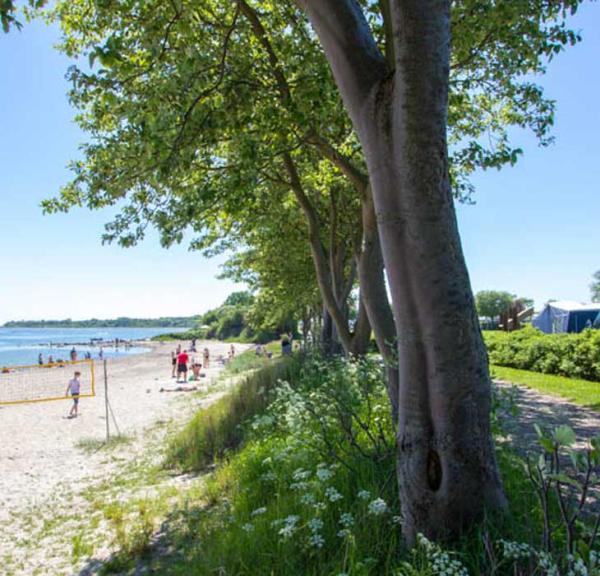 Strandaktiviteter ved Gammelbro Camping