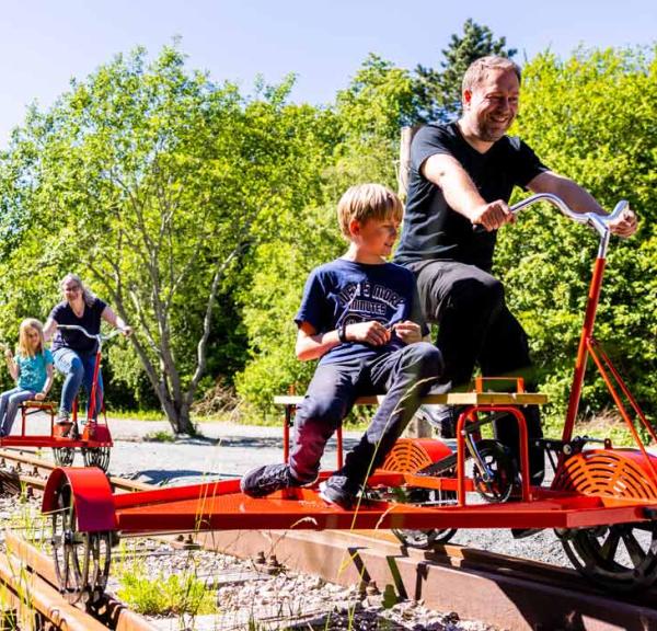 Volwassenen en kinderen op railsfietsen in Aabenraa