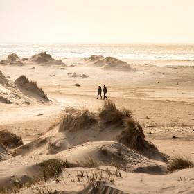 De duinen op Rømø