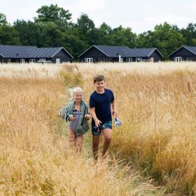 Kinderen in een korenveld voor vakantiehuizen