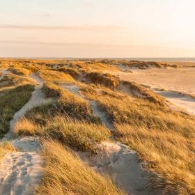 De duinen op Rømø