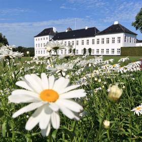 Forårsblomster ved Graasten Slot