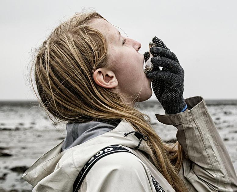 Pige i regnjakke spiser frisk østers i Vadehavet