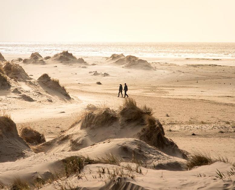 De duinen op Rømø