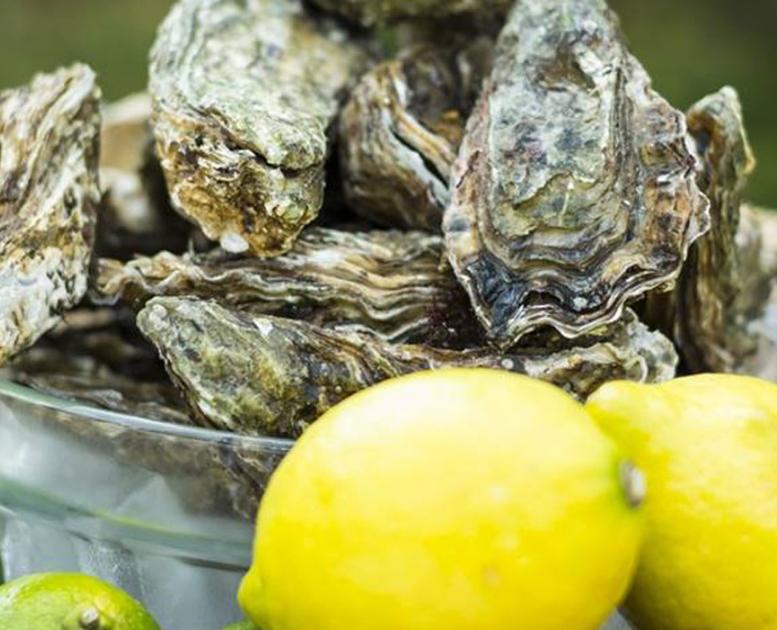 Østers klar til tilberedning med lime og citron