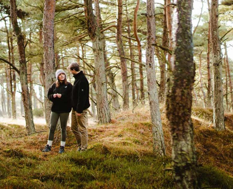 Par på efterårsvandring i skoven