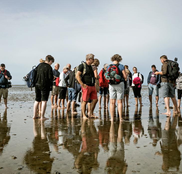 Waddenzee