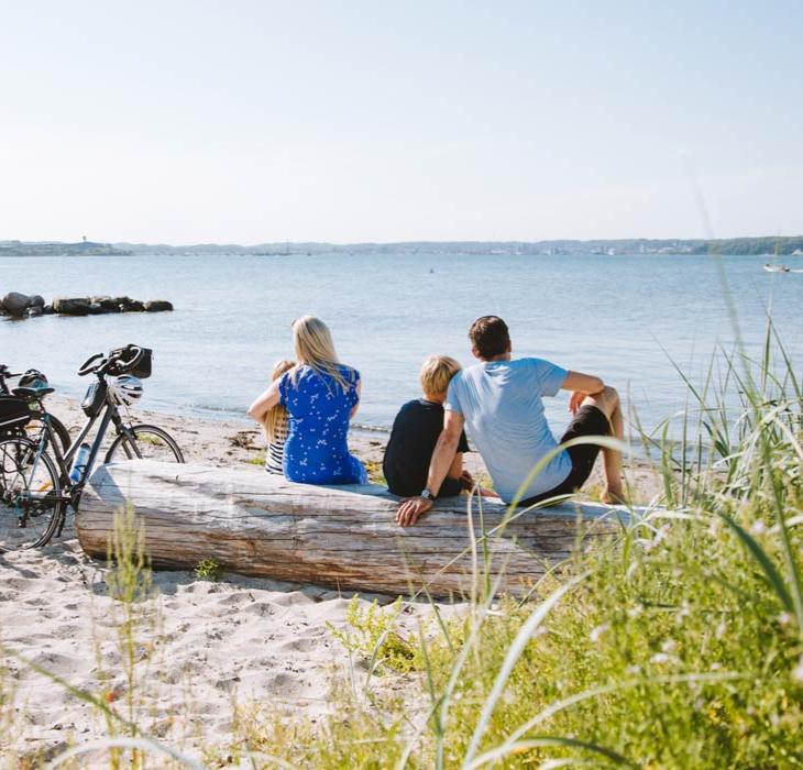 Gezin zit op het strand en kijkt uit over het water, met fietsen naast zich